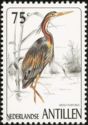 Purple Heron (Ardea purpurea)
